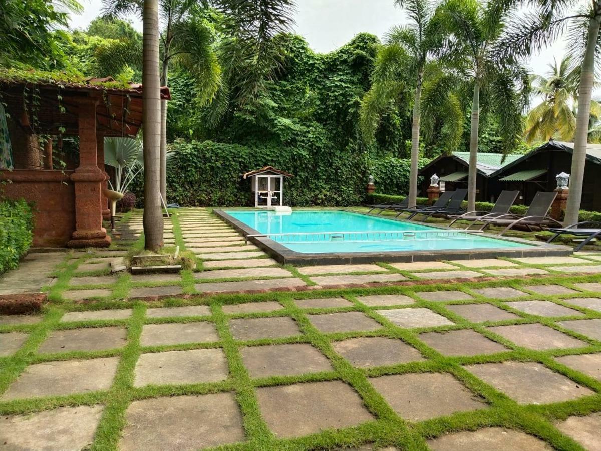 Tranquility Cottage Resorts Baga Exterior photo