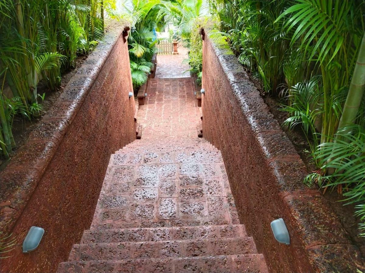 Tranquility Cottage Resorts Baga Exterior photo