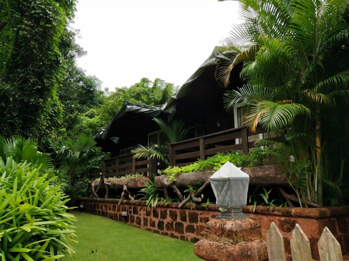 Tranquility Cottage Resorts Baga Exterior photo